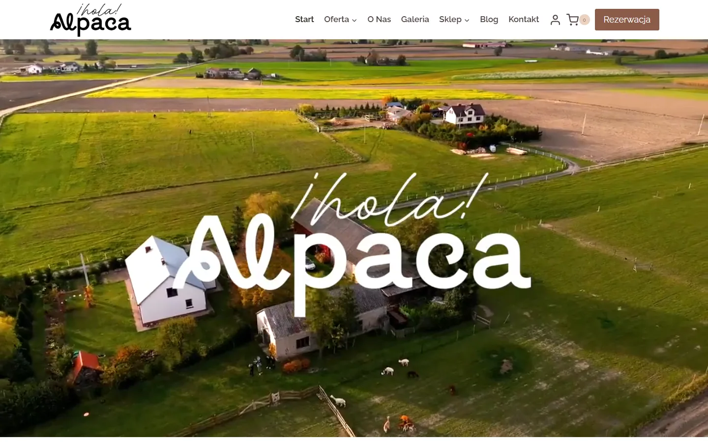Screenshot of the Hola Alpaca website